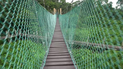 Gehen-Sie-Auf-Der-Canopy-Walk-Bridge